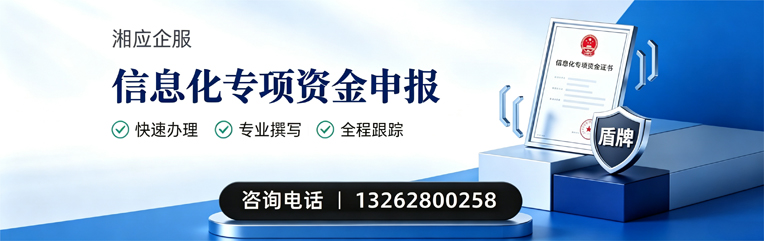 梅州信息化专项资金申报服务
