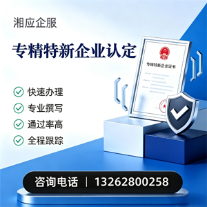 梅州专精特新企业申报服务
