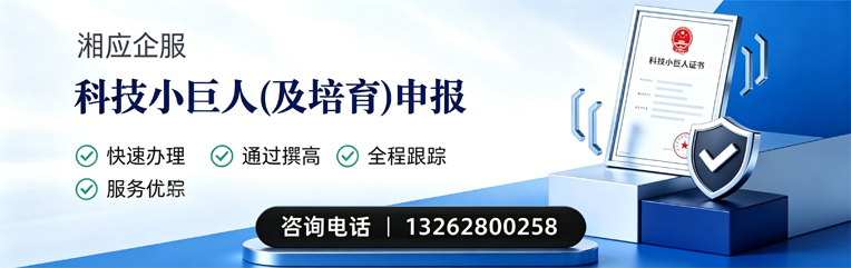 梅州科技小巨人及培育企业申报服务