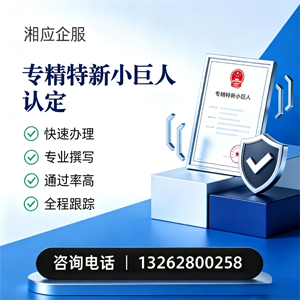 梅州专精特新小巨人申报服务