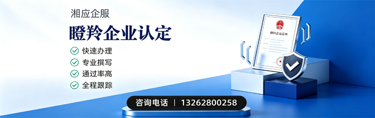 梅州瞪羚企业认定申报服务