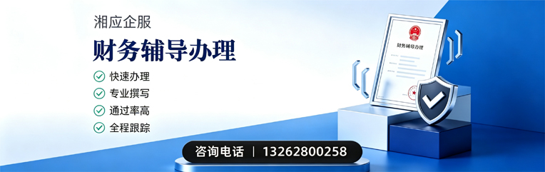 梅州财务辅导申请服务
