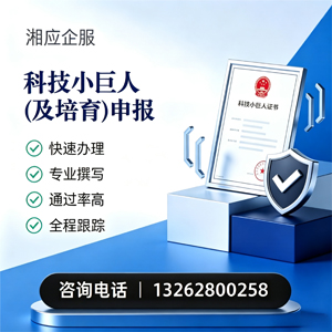 梅州科技小巨人及培育企业申报服务