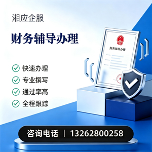 梅州财务辅导申请服务