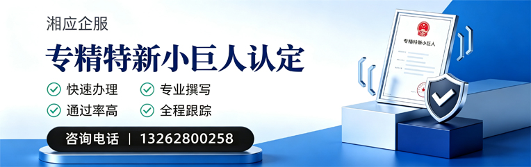 梅州专精特新小巨人申报服务